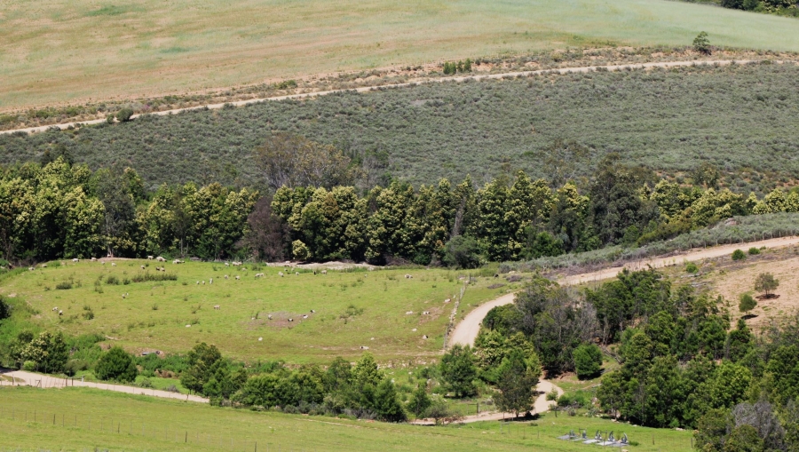 0 Bedroom Property for Sale in Uniondale Rural Western Cape